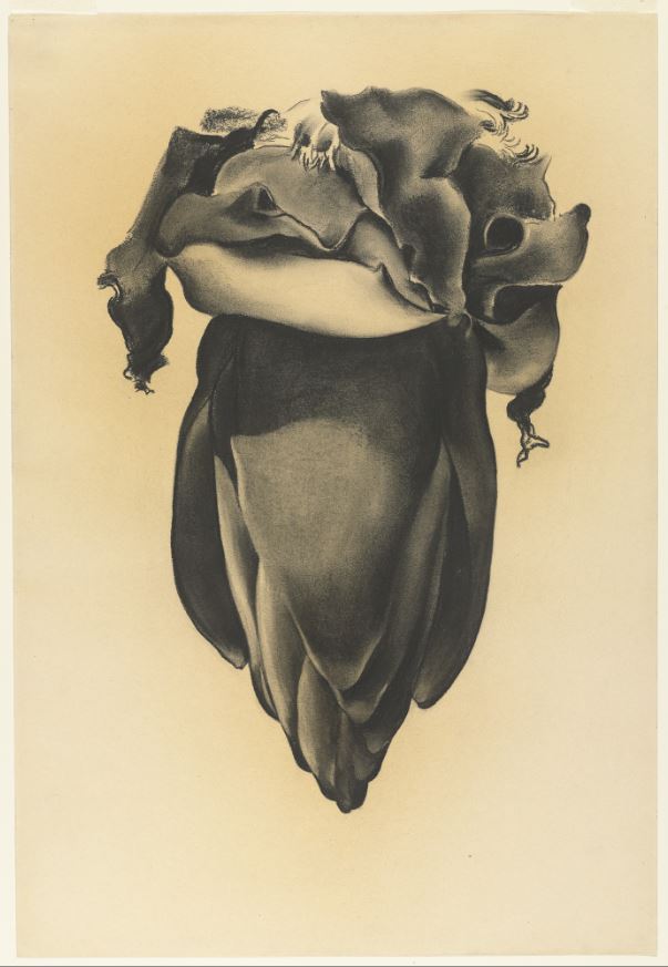 Evanescence Paper Flowers Meaning Best Flower Site