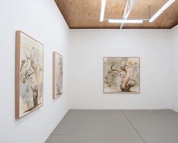 Tim McMonagle, Installation view