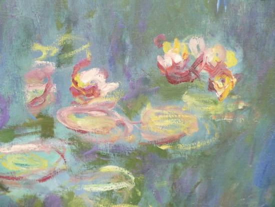 water lilies detail