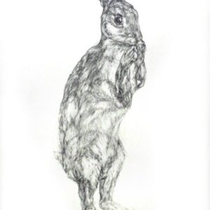 Discover Drawing workshop
