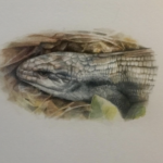 Anna Parry Discover Watercolour and Gouache workshop