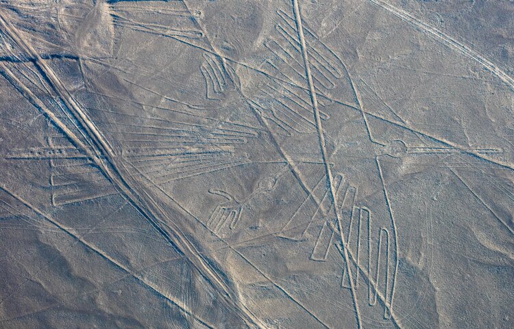 Geoglyph of a condor at Nazca Desert, southern Peru by User “Diego Delso”, CC BY-SA 4.0, Destination History.
