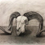 skull drawing